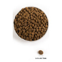 ACANA Highest Protein Pacifica - dry dog food - 11.4 kg