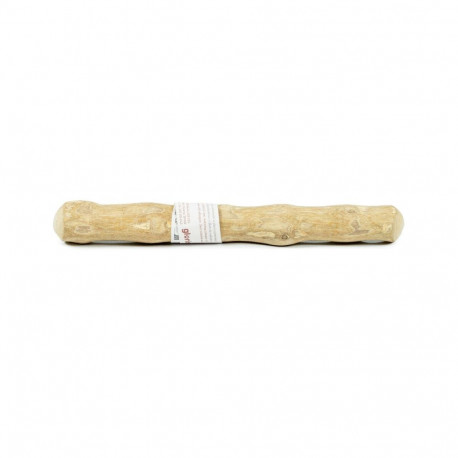 Koera närimismänguasi Gloria S