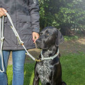 Dog Training Collars Trixie Soft Rope Green Mint S/M 40 cm Dog Training Collars Trixie Soft Rope Green Mint S/M 40 cm