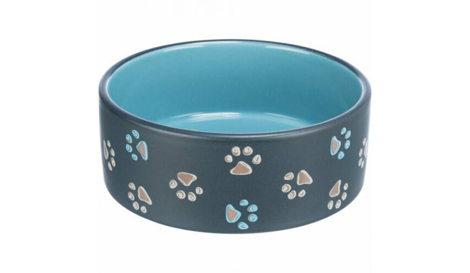 Kasside toitja Trixie