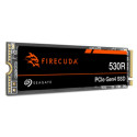 Жесткий диск Seagate ZP1000GM3A063 1 TB SSD