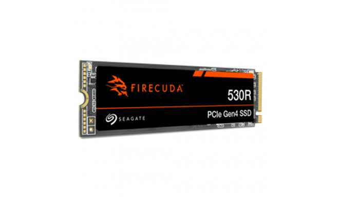 Жесткий диск Seagate ZP1000GM3A063 1 TB SSD