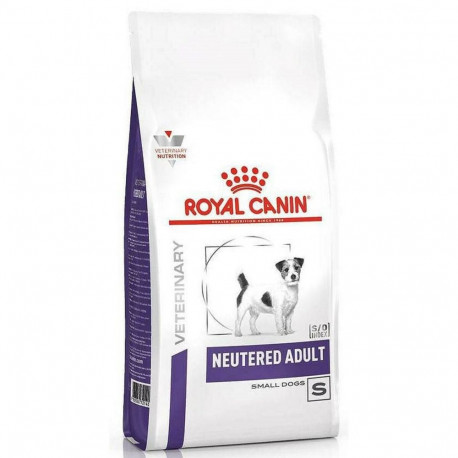 Sööt Royal Canin Neutered Adult Small VHN Täiskasvanu Mais Linnud Siga 3,5 g
