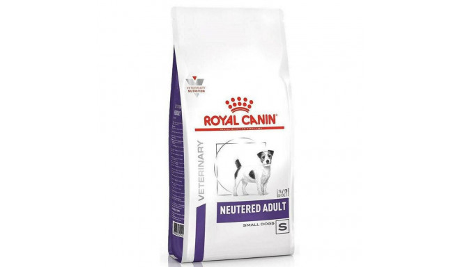 Sööt Royal Canin Neutered Adult Small VHN Täiskasvanu Mais Linnud Siga 3,5 g