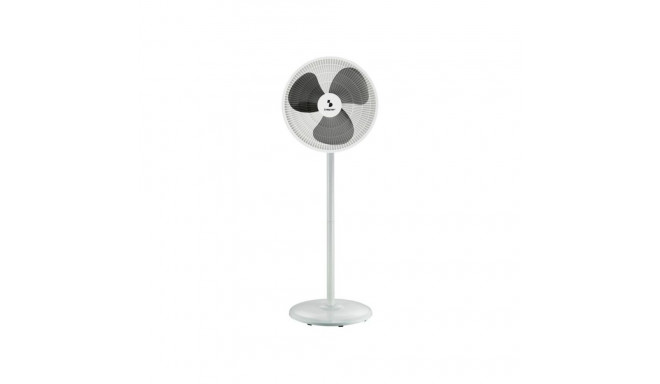 Beper P206VEN152