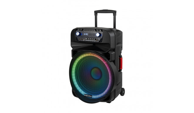 Aktiivne kõlar (2 UHF juhtmevaba mikrofoniga, SD, Bluetooth, FM, USB, LED) 60 W