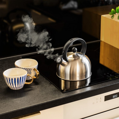 roostevabast terasest vilega veekeetja 2L