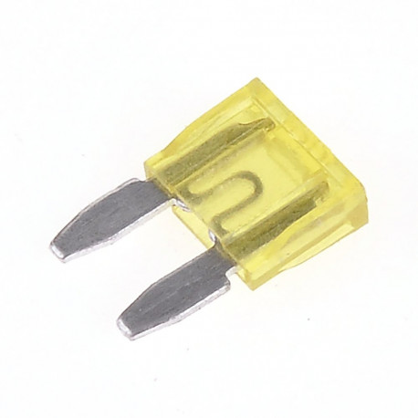 MINI 20A plaadiga autokaitsmed (50 tk.)