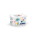 BOXSTORAGE WITH LID C BOX50L