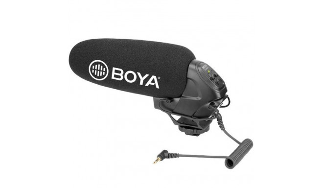 BOYA BY-BM3031 microphone Black Digital camera microphone