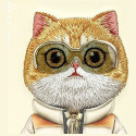 NIMMY case COOL&CUTE 2.0 Cat for IPHONE 15 Pro Max khaki