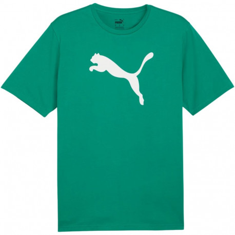 Puma meeste särk Team Rise Logo Jersey 658705 05 L puuvillane, roheline