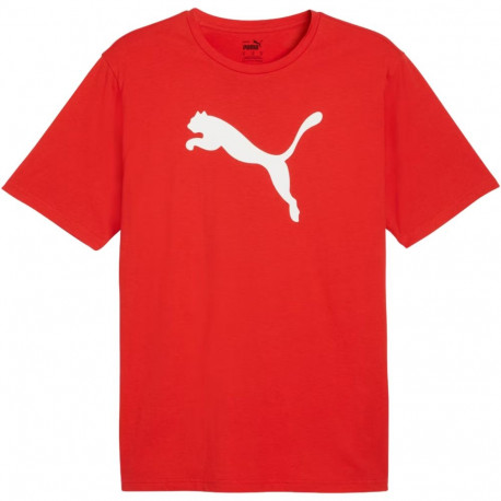 Puma meeste särk Team Rise Logo Jersey Cotton 658705 01 L, punane