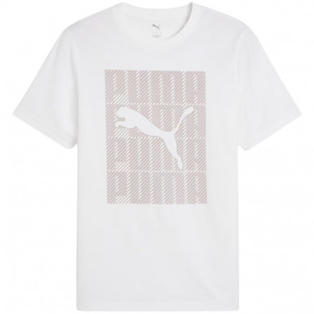 Puma meeste t-särk Graphics Wording Tee 684825 02 2XL, valge