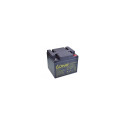 LONG 12V 50AH LEAD-ACID BATTERY DEEPCYCLE AGM M6 (WP50-12NE)