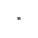 Art ER T120 4:3 manual display with