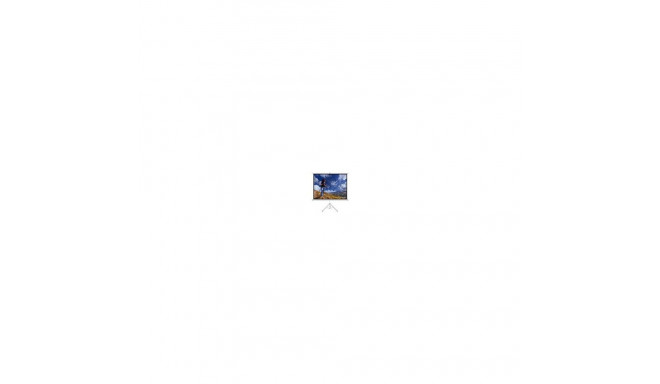 Art ER T120 4:3 manual display with