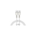 Baseus Cafule Series Metal Data USB Type C to USB Typ C 100W, 1m White