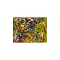 Ravensburger Puzzle 200 Tropical Rainforest