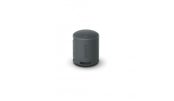 Sony SRS-XB100 Black