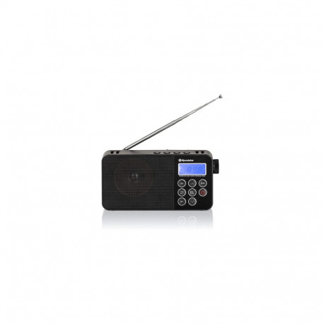 Roadstar TRA-2340PSW