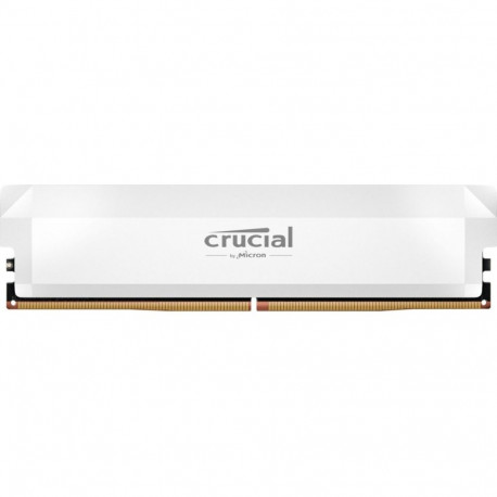 Memory DDR5 Pro OC 16/6400(1*16GB) CL38 white