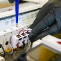 "Shelly Relais ""Pro 3EM-3CT63"" WLAN LAN Stromzähler Inkl. CT Messfunktion BT DIN-Rail"