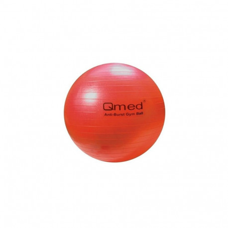 ABS rehabilitation ball with pump 55cm