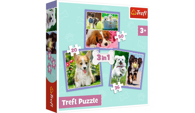 Puzzle - 3in1 (20, 36, 50) - armsad kutsikad - Trefl 34854