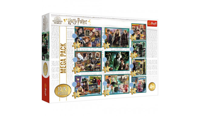 Puzzle - 10w1 - Harry Potter - W świecie Harrego Pottera - Trefl 90392