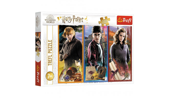 Puzzle 200 Harry Potter maagia ja nõiduse maailmas Trefl 13277