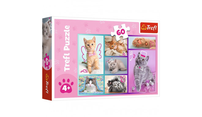 Puzzle - "60"- Słodkie kociaki / Trefl 17373