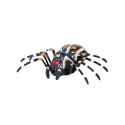 Zdalnie Sterowany Pająk Tarantula Podczerwień Czarny R/C ST