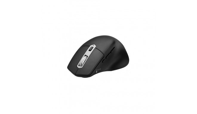Tracer Ofis X Black