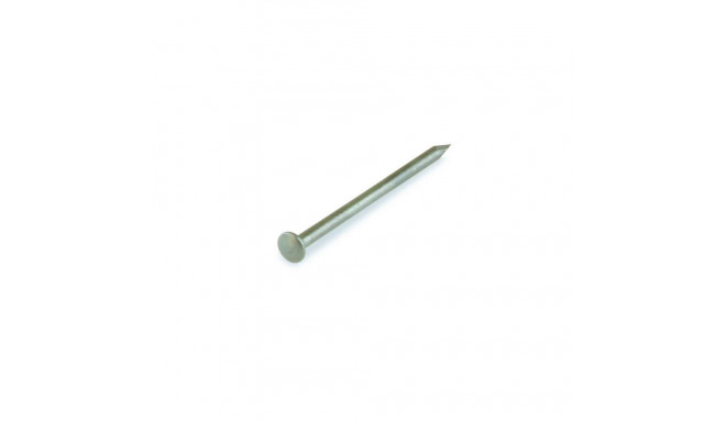 ST.NAIL 2,5X40 sinine/kõva ovaalne pea/27 tk