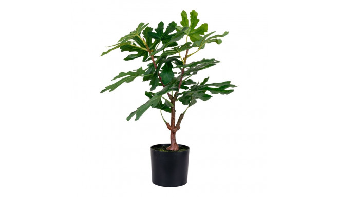 Kunsttaim Fig Tree H50 cm