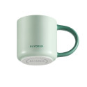 BUYDEEM Ceramic Mug 300 ml, model CD1018, color Cozy Greenish