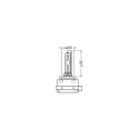 D8S Xenarc 25W PK32d-1 1tk