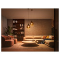 Philips Hue LED smart lamp, White Ambiance, E27