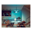 Philips Hue LED smart lamp, White and color ambiance, E27, 1600 lm
