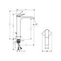 Faucet Hansgrohe Vivenis 75040000