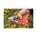 Secateurs FELCO 6