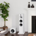 Bowers &amp; Wilkins ASW610 Active subwoofer 200 W