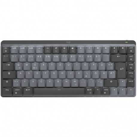"Logitech Master Series MX Mechanical Mini graphite"