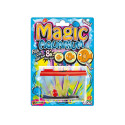 Magic Aquarium, Reef Fish