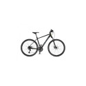 Author Airline 29 Temple Grey matte 20''
