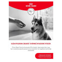ROYAL CANIN Supplements Dog Joint & Ageing Adult - dog vitamins - 240g
