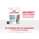 ROYAL CANIN Supplements Dog Joint & Ageing Adult - dog vitamins - 240g
