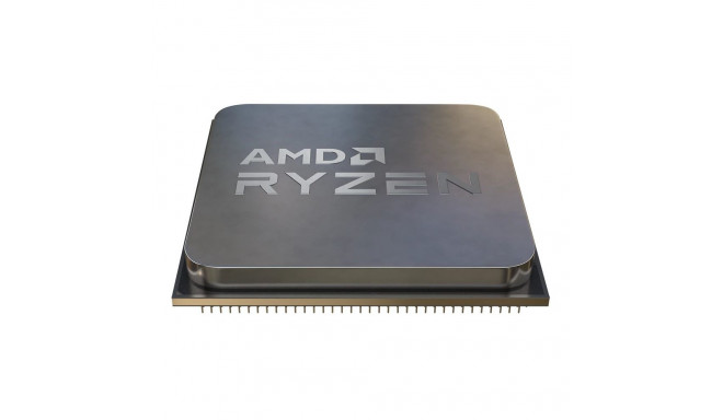 "AMD Ryzen 5 9600 Cache Tray"