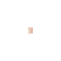 MAC Mineralize Skinfinish Natural (10g)
